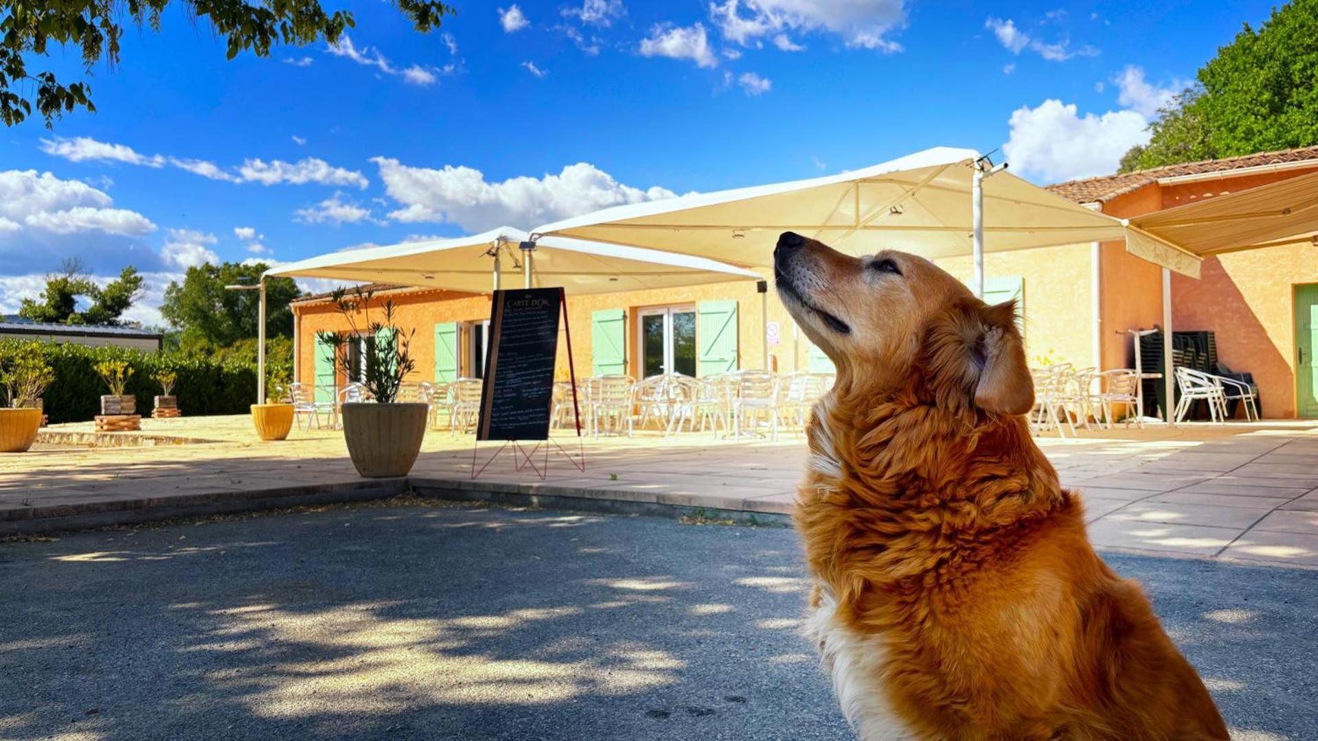 Camping Tikayan L'Oxygene Valensole Exterior foto